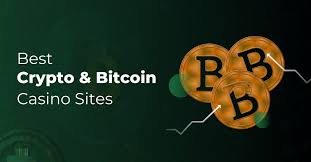 Mastering the Art of Winning Insights into Learning to Win at Live Games