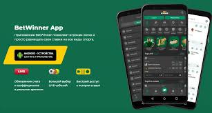 BetWinner Online Casino & Sportsbook Your Ultimate Gaming Destination -243554794
