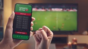 Betwinner  Une Plongée dans l'Univers des Paris en Ligne