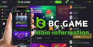 BC.Game PK Login Your Gateway to Exciting Online Gaming 731819066