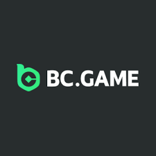 Understanding BC.Game Payment Methods A Comprehensive Guide