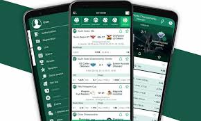 Everything You Need to Know About BetWinner -862560511