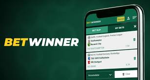 Everything You Need to Know About BetWinner -862560511